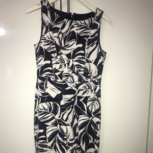 Ann Taylor blue and white casual dress